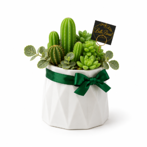 Mini Cachepô de Cactos e Suculentas - Essência de Alecrim